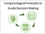 Using Ecological Forecasts to Guide Decision Making